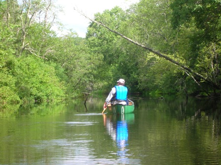 Don Paddling on the Saint George